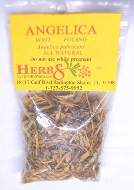 Angelica Root (Angelica archangelica)